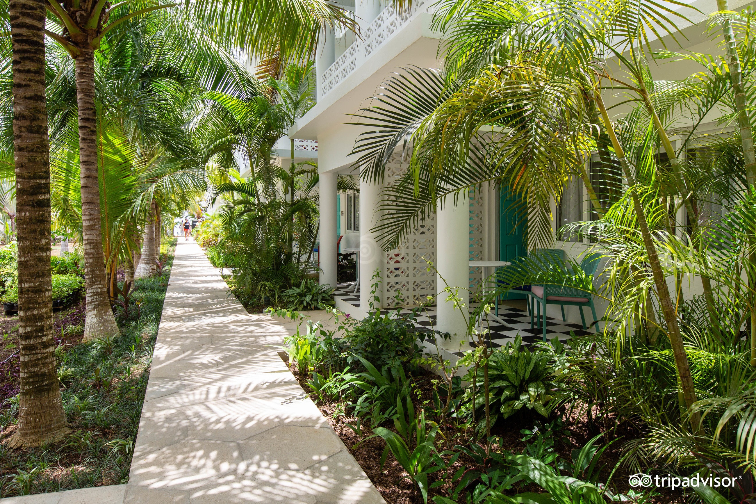 Grounds at the Skylark Negril Beach Resort