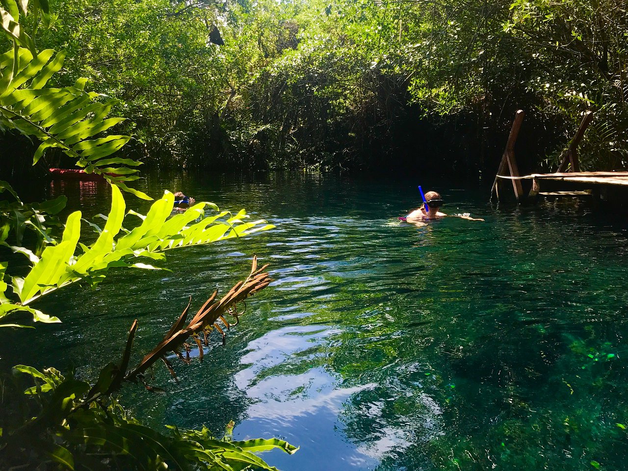 Do you like nature? make snorkel from a cenote to the caribbean