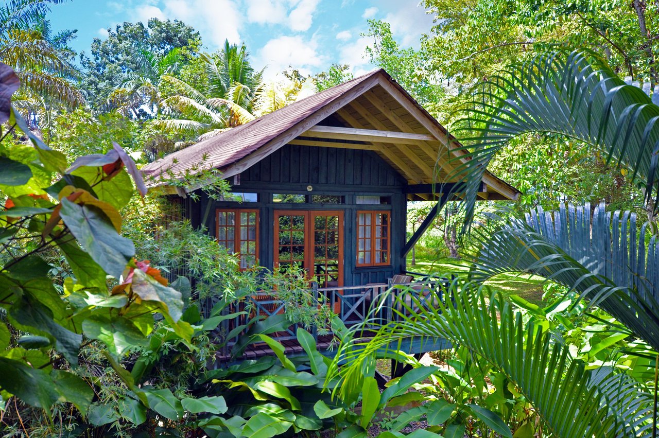 Treehouse Style Accommodations. 