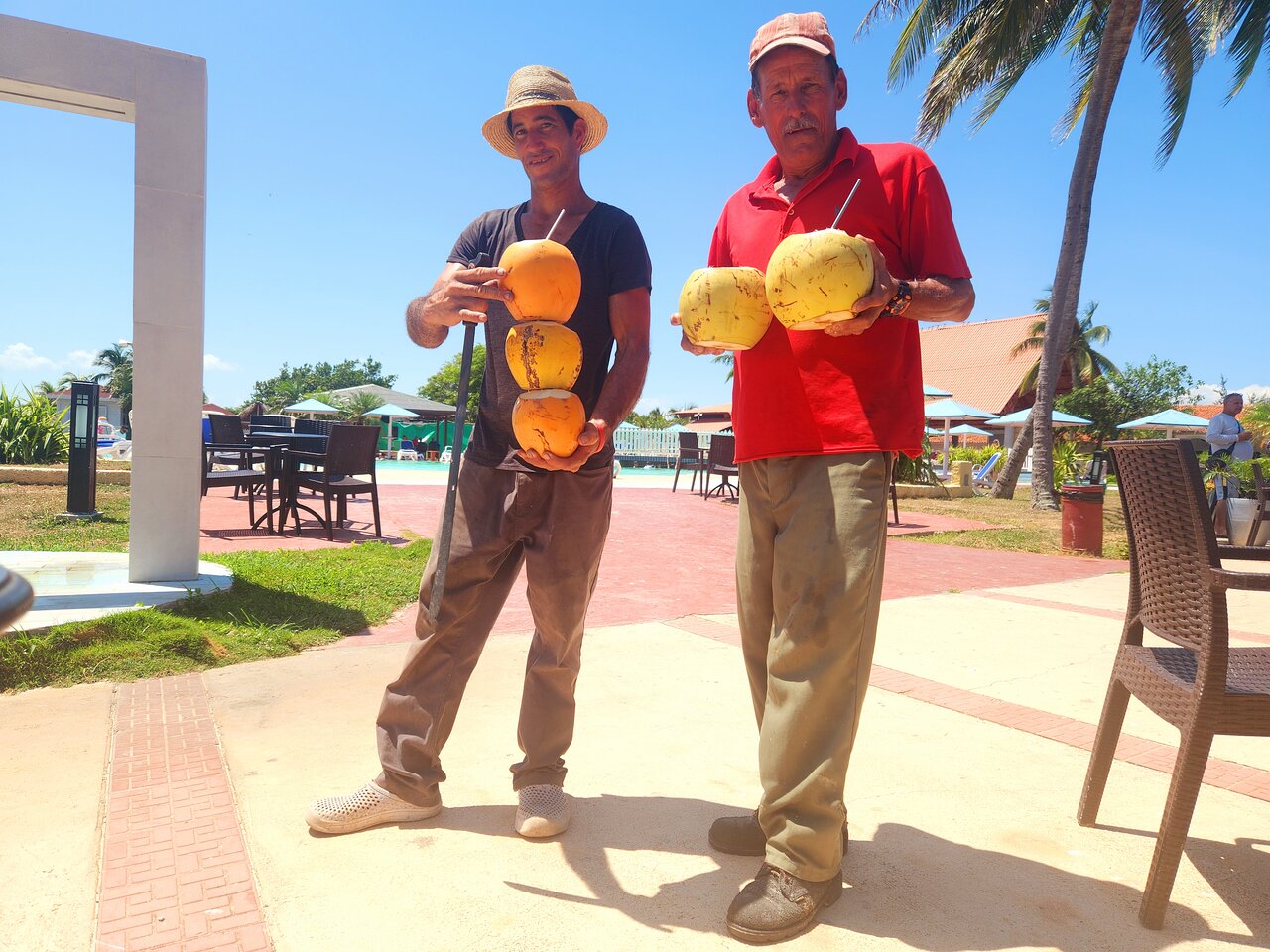 Nuestro equipo en Starfish Cayo Guillermo se esfuerza por brindar a los huéspedes una experiencia auténtica y acogedora. En esta imagen, dos jardineros sostienen cocos frescos, reflejando la esencia tropical de nuestro hotel. La vista despejada, el ambiente relajado y la calidez del servicio hacen de este espacio un lugar perfecto para disfrutar del sol, el mar y el sabor del Caribe.