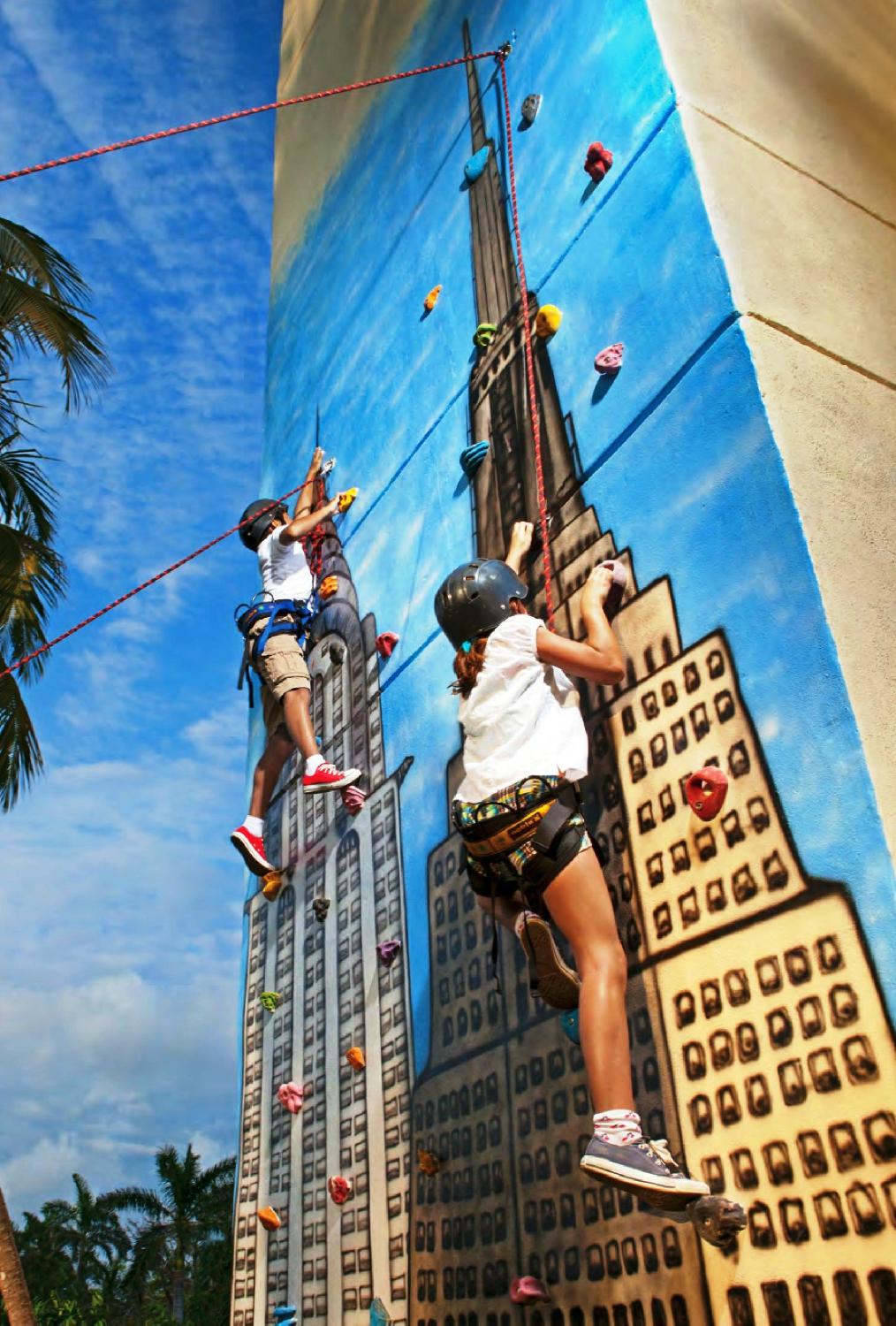 Climbing wall
