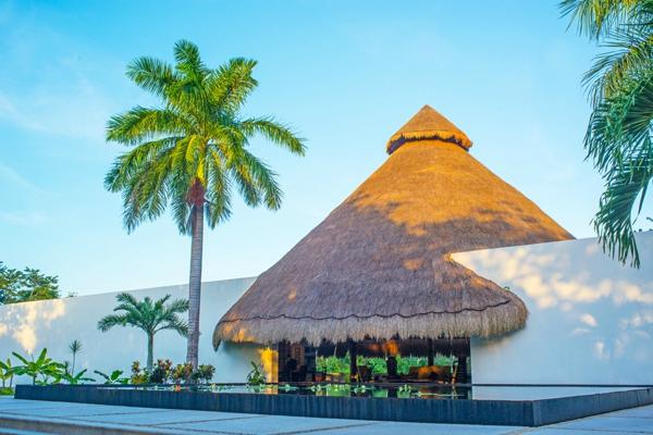 palapa