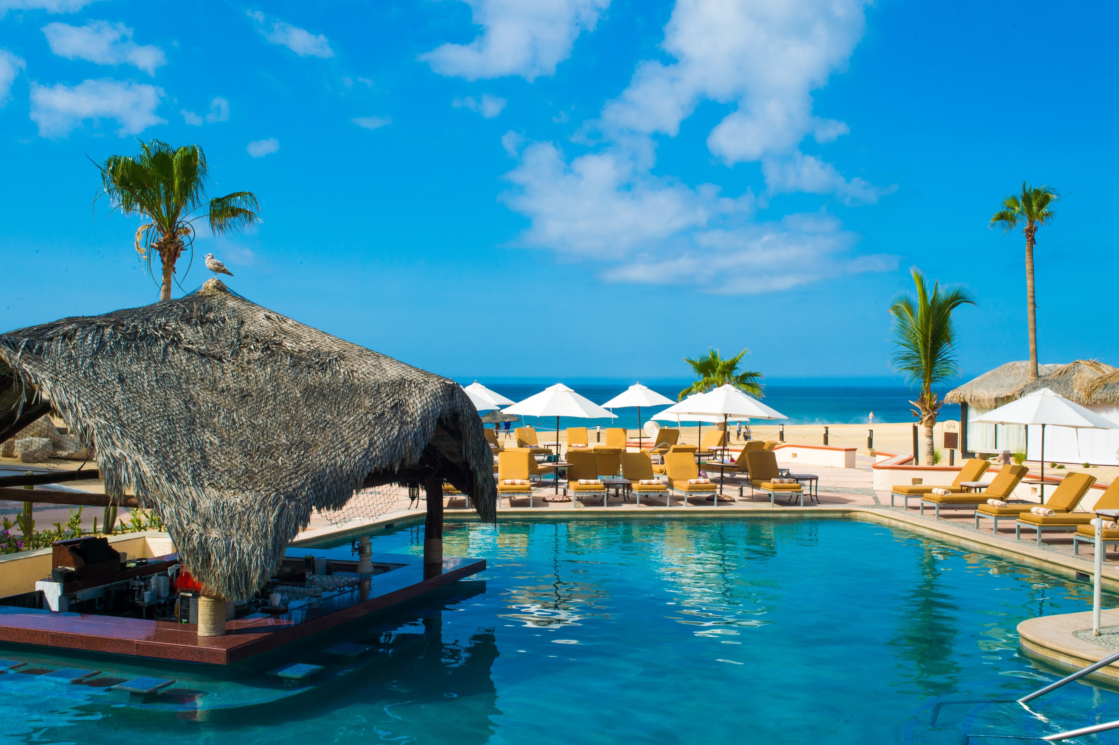 Solmar_Pool_Bar
