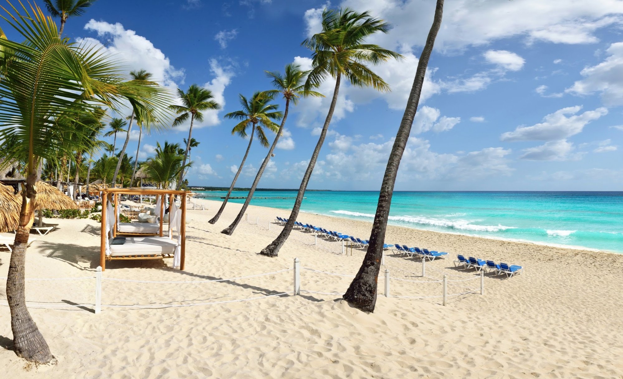 Beach area