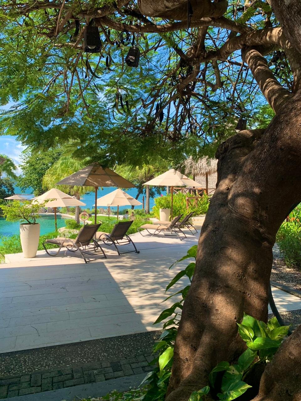 Resort Main Pool