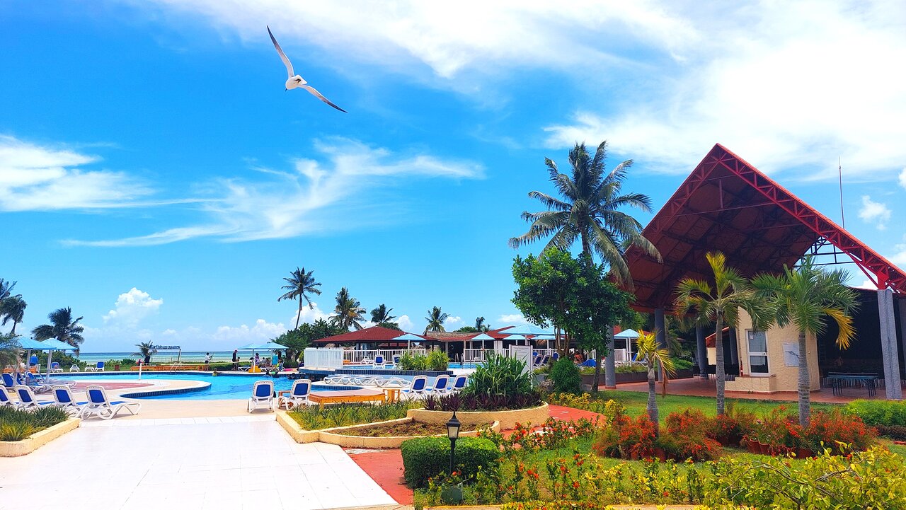 Esta foto captura la encantadora área de la piscina de nuestro hotel, rodeada de exuberantes palmeras y jardines tropicales. Es el lugar perfecto para relajarse bajo el sol y disfrutar de un ambiente tranquilo y acogedor.