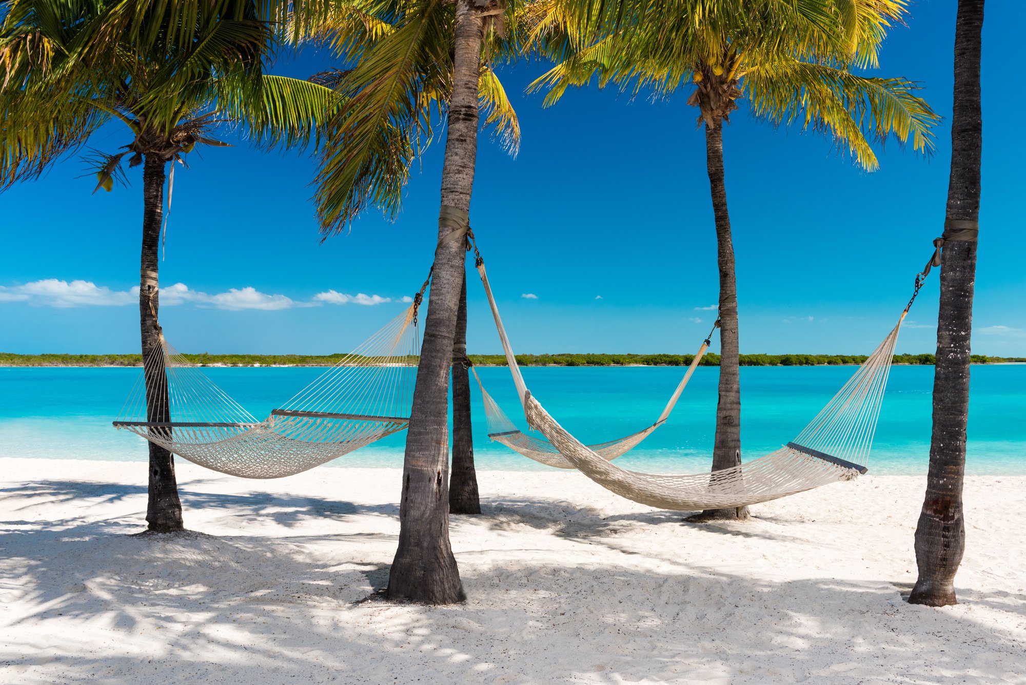 Laze the day away in a hammock between the palms