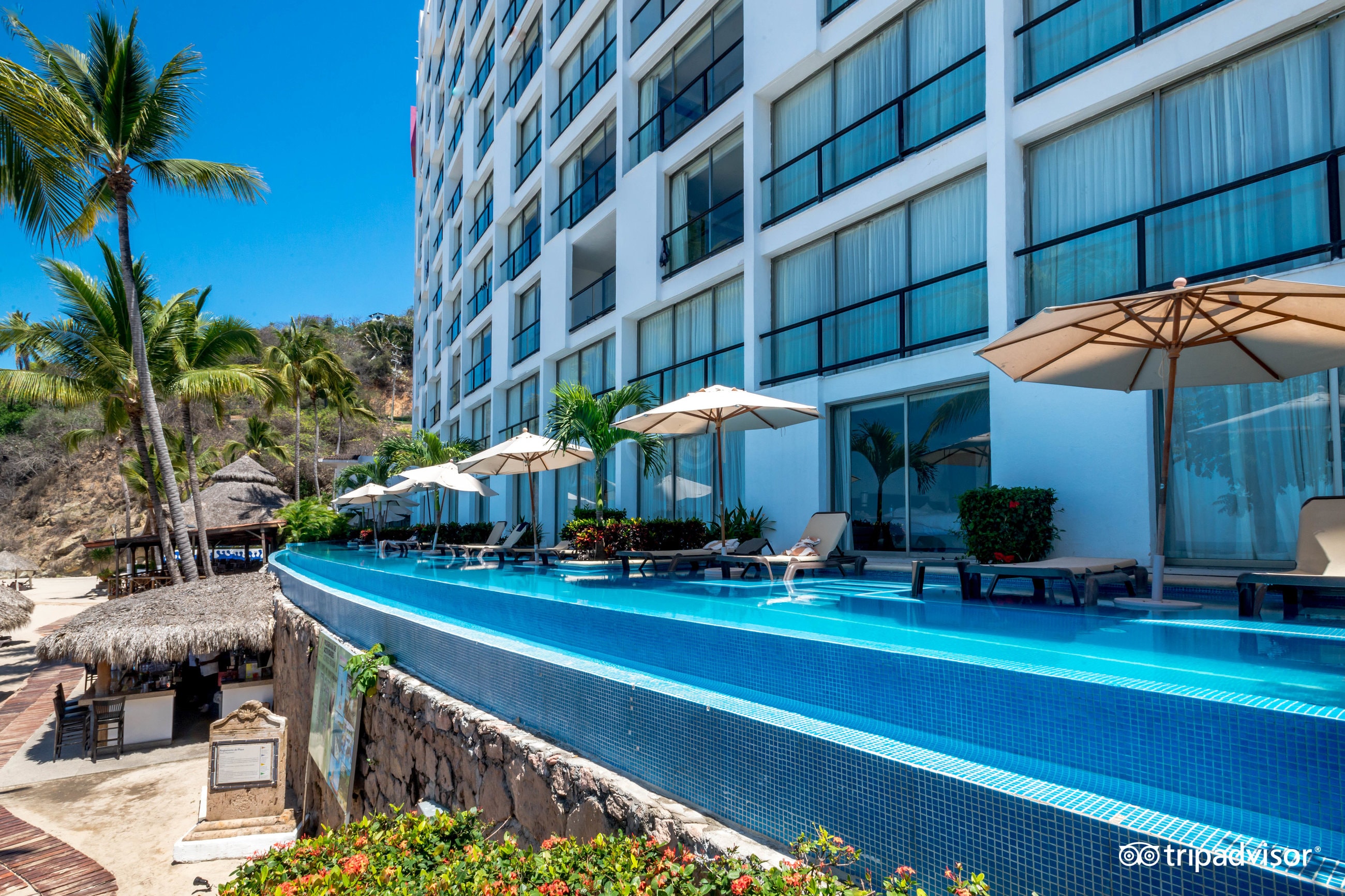 The Swim-Up Suite at the Hyatt Ziva Puerto Vallarta